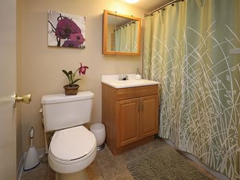 odel Suite Bathroom at Morgan Park Apartments in Euclid OH